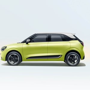 Dongfeng Nammi EV